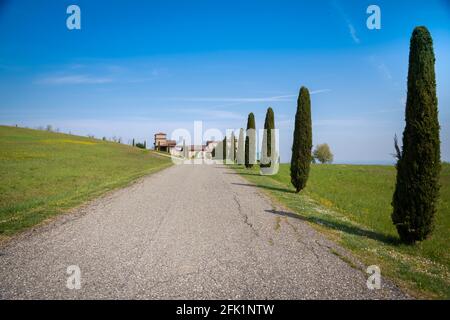 Schöne Aussicht auf ein Landhaus mit Wiesen und Auffahrt mit Zypressen, blauer Himmel im Hintergrund. Frühling auf dem Land mit der Natur rundherum. Stockfoto