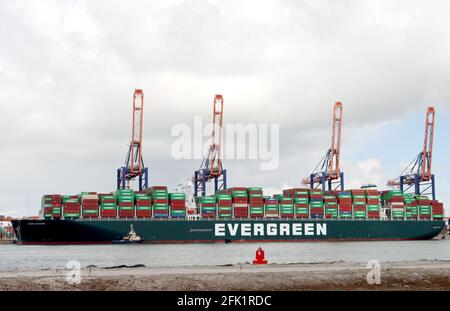 Containerschiff jemals von Evergreen Be-und Entladen in gegeben Der Hafen von Maasvlakte in Rotterdam Stockfoto