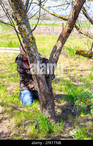 Ein Mann mit einer Kettensäge macht im Frühjahr das Beschneiden von trockenen Ästen alter Bäume. Gartenarbeit und Baumpflege. Stockfoto