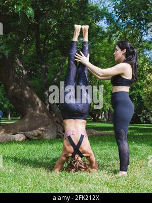 Yogalehrerin, die eine Schülerin in einem Park unterrichtet. Sie praktizieren Yoga auf dem Gras Stockfoto