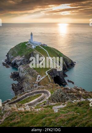 South Stack Lighthouse auf dem Gipfel einer kleinen Insel namens Ynys Lawd vor der Nordwestküste von Holy Island, Anglesey, Wales, Großbritannien Stockfoto