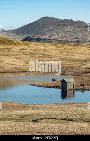 Altes Steinboathouse am Washfold Point am Ufer von Devoke Water mit Scafell dahinter Stockfoto