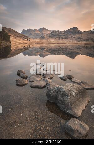 Blea Tarn mit spiegelnden Reflexionen der Langdale Pikes AT sonnenaufgang im Frühling Stockfoto