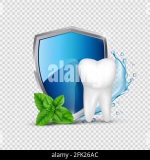 Zahnschutz. Weißer Zahn, Schild und Minze, Wasserspritzer. Zahn gesund Konzept Vektor Illustration Stock Vektor