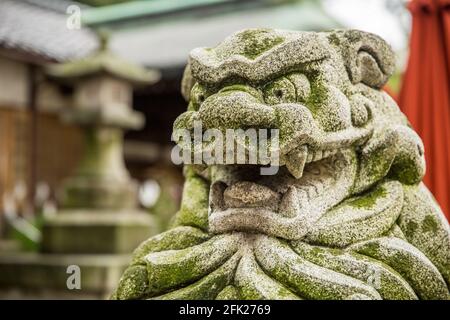 Hundestatue des steinernen Löwen in einem japanischen buddhistischen Tempel, Japan. Bedeckt mit Moos mit einem gruseligen Gesicht und einer sanften Fokuslaterne im Hintergrund. Stockfoto