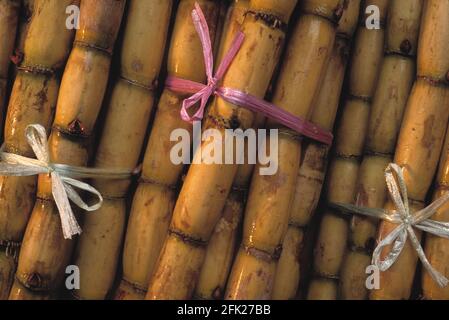 Singapur. Marktstand. Bündeln von Zuckerrohr. Stockfoto