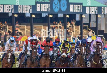 Uttoxeter Races, National Hunt Horse Racing Meeting Stockfoto