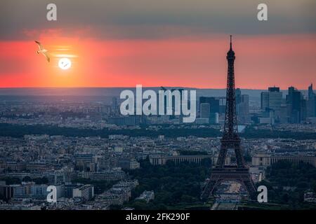 Blick auf Paris und den Eiffelturm von Montparnasse. Blick auf den Eiffelturm mit fliegenden Vögel von Montparnasse bei Sonnenuntergang, Blick auf den Eiffelturm. Stockfoto