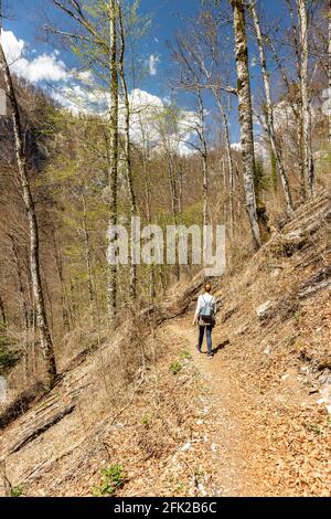 Wanderfrau, die den schmalen, steilen Waldweg tief in den Wäldern des Nationalparks Risnjak, Kroatien, hinuntergeht Stockfoto