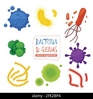 Mikroben. Biologie Pandemieviren Allergen und Krankheitserreger Mikroskopische Ansichten Vektorbakterien Sammlung Stock Vektor
