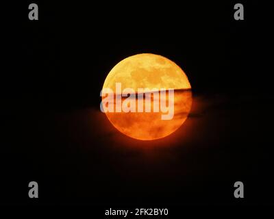 Minster on Sea, Kent, Großbritannien. April 2021. UK Wetter: Der rosafarbene Vollmond, der über den Klippen in Minster on Sea, Kent aufsteigt, hat eine spektakuläre orange Farbe. Kredit: James Bell/Alamy Live Nachrichten Stockfoto