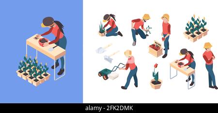 Landwirtschaft isometrisch. Bauern und Gärtner Menschen sammeln Jäten Gemüse Nutztiere Landwirtschaft Vektor Personen im Freien arbeiten Stock Vektor