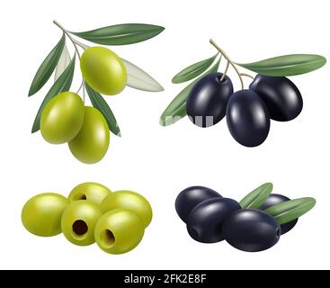 Olive realistisch. Griechische Natur Lebensmittel Olivenzweige entspannen Spa Öl Vektor Symbole Stock Vektor