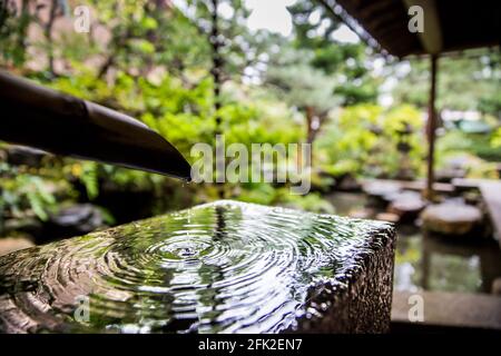 Das natürliche Quellwasser aus Bambus befindet sich im japanischen Zen-Garten des Nomura Samurai-Clanhauses in Kanazawa, Japan. Stockfoto