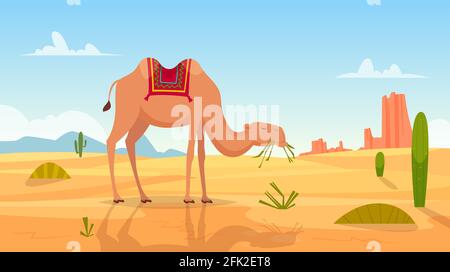 Wüstenhintergrund. Afrikanische Landschaft mit Gruppe von Kamelen im Freien Ödland Vektor Cartoon Bild Stock Vektor