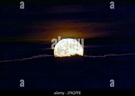 Glasgow, Schottland, Großbritannien. April 2021. UK Wetter: Der vollrosa Mond guckte am Ende eines bewölkten Tages mit starken Winden über die Wolke. Quelle: Gerard Ferry/Alamy Live News Stockfoto