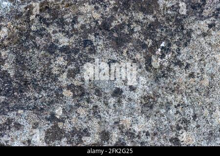 Grau und schwarz gesprenkelte Steinstruktur Stockfoto