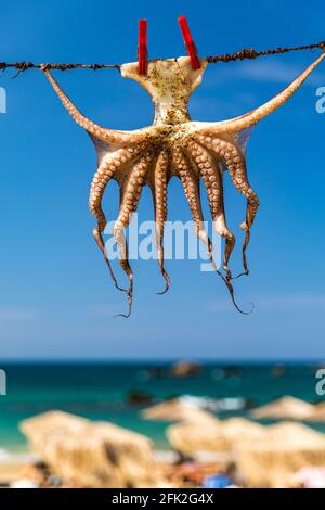 Octopus trocknen in der Sonne, Kreta, Griechenland, Europa. Octopus trocknen auf Kreta, Griechenland. Ein Tintenfisch trocknen auf einem Seil außerhalb einer Taverne auf Kreta, Griechenland. Octo Stockfoto