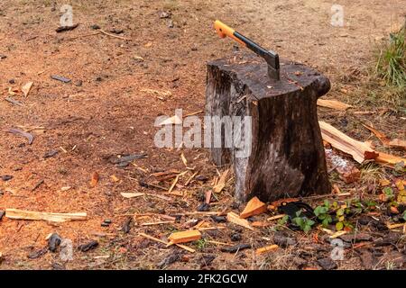 Gelbe Axt mit Klinge in einem Baumstumpf Wird verwendet, um Holz mit Holzspänen zu hacken, die auf verstreut sind Den Boden Stockfoto