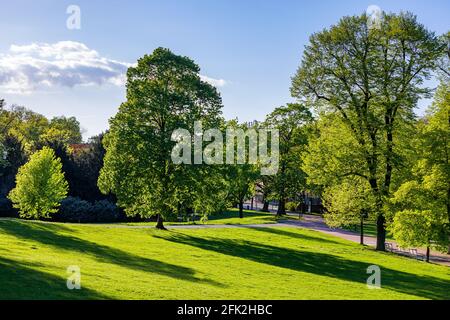 Frühling in Letna Park, Prag, Tschechische Republik. Frühling in Prag (Praha), wunderschönen Letna Park (Letenske Sady) im Sonnenlicht, sonnige Landschaft, Population Stockfoto