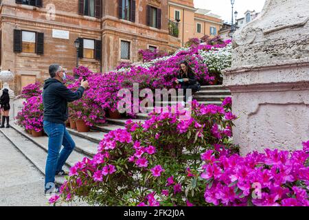 Rom, Italien, 27. April 2021. Azeleas in Blüte auf der Spanischen Treppe. An diesem Tag haben die beiden Häuser des italienischen Parlaments den Sanierungsplan der Regierung (Pnrr, nationaler Plan für Erholung und Widerstandsfähigkeit) zur Nutzung von EU-Zuschüsse und -Darlehen für europäische Volkswirtschaften, die von der Coronavirus-Pandemie betroffen sind, genehmigt. Stockfoto