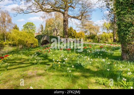 Bunte Narzissen und Tulpen, Torheit und Steinbrücke beim Frühlingsfest im Dunsborough Park, Ripley, Surrey, Südostengland im April Stockfoto