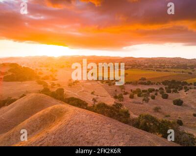 Stürmischer Sonnenuntergang über Firestone Vineyard, Santa Ynez Valley, Kalifornien Stockfoto