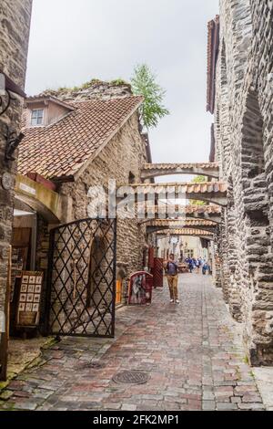 TALLINN, ESTLAND - 22. AUGUST 2016: Die Menschen gehen auf einer gepflasterten Straße in der Altstadt von Tallinn. Stockfoto