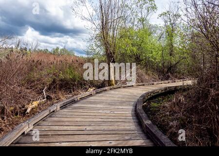 Blick auf eine geschwungene Promenade in einem Marschland an einem bewölkten, bewölkten Tag im pazifischen Nordwesten Stockfoto