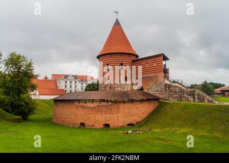 Burg Kaunas, Litauen Stockfoto