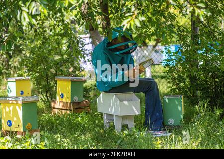 Imker hält einen kleinen Nucleus mit einer jungen Bienenkönigin. Zucht von Bienenköniginnen. Bienenlöcher mit Waben. Vorbereitung auf die künstliche Befruchtung Stockfoto