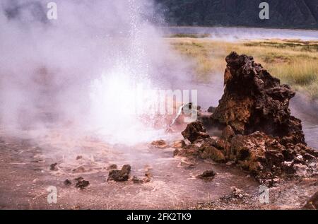 Ostafrika.heiße Quellen am Lake Bogoria im Rift Valley.Kenia. Stockfoto