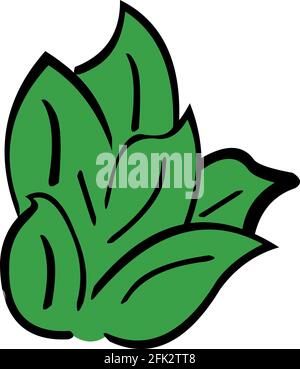 Vektor-Illustration von Blätter Pflanze Kraut Stock Vektor