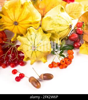 Herbstdekoration mit trockenen Blättern, Kürbissen und mehr, isoliert auf Weiß Stockfoto