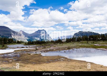 Alpine Landschaft entlang Hidden Lake Trail im Glacier National Park, USA Stockfoto