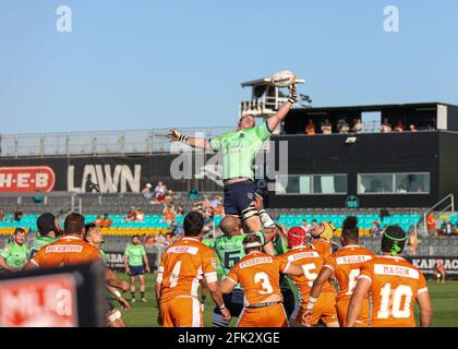 Austin, TX, USA. April 2021. Die Austin Gilgronis spielen am 25. April 2021 in Austin, Texas, die Seattle Seawolves in einem Major League Rugby Match. Austin Won, 42-15. Quelle: Scott Coleman/ZUMA Wire/Alamy Live News Stockfoto