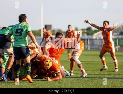 Austin, TX, USA. April 2021. Austin Gilgronis Loosehead Prop JAMIE MACKINTOSH (1) protestiert während eines Gedränge in einem Rugby-Spiel der Major League gegen die Seattle Seawolves am 25. April 2021 in Austin, Texas. Austin Won, 42-15. Quelle: Scott Coleman/ZUMA Wire/Alamy Live News Stockfoto