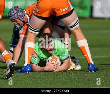 Austin, TX, USA. April 2021. Die Austin Gilgronis spielen am 25. April 2021 in Austin, Texas, die Seattle Seawolves in einem Major League Rugby Match. Austin Won, 42-15. Quelle: Scott Coleman/ZUMA Wire/Alamy Live News Stockfoto