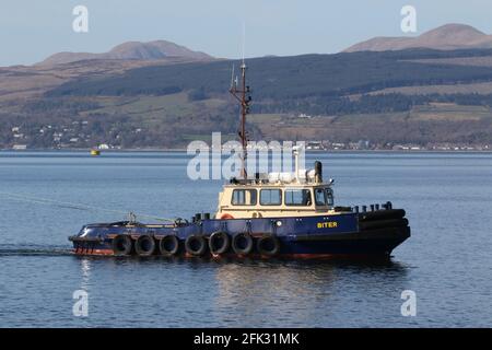 Biter, ein Damens Stan 1 Schlepper, der von Clyde Marine Services betrieben wird und PS Waverley in Garvel Dock am Firth of Clyde unterstützt. Stockfoto