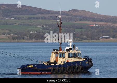 Biter, ein Damens Stan 1 Schlepper, der von Clyde Marine Services betrieben wird und PS Waverley in Garvel Dock am Firth of Clyde unterstützt. Stockfoto