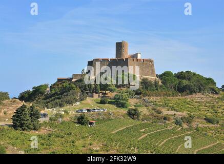 Das Fort von Sant Telmo befindet sich in Collioure-Frankreich Stockfoto