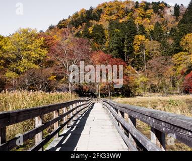 Nikko, Japan - 24. Oktober 2016: Herbstfarben in Nikko-Yumoto, einem Teil des Nikko-Nationalparks Stockfoto