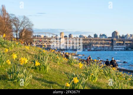 English Bay, Vancouver City wunderschöne Landschaft im Frühling bei Sonnenuntergang. British Columbia, Kanada. Stockfoto