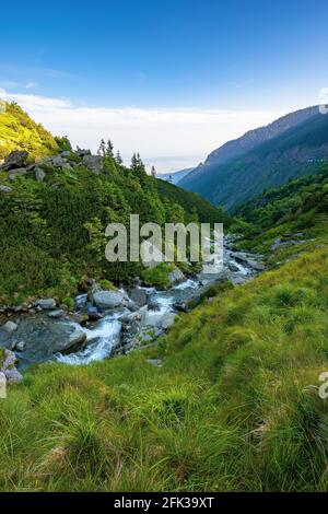 alpine balea Bach in den Bergen. Wasser fließt zwischen den Steinen und Bäumen. Schöne Sommerlandschaft am Morgen. Blick in das ferne Tal von Stockfoto