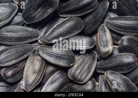 Makro-Foto Nahaufnahme schwarze Sonnenblumenkerne Stockfoto