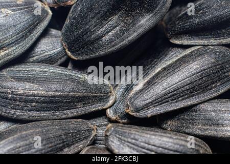 Makro-Foto Nahaufnahme schwarze Sonnenblumenkerne Stockfoto