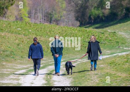 Eine kleine Gruppe von 3 Personen, die im Frühling in West Sussex, England, Großbritannien, einen Hund auf Gras auf dem britischen Land spazieren gehen. Stockfoto