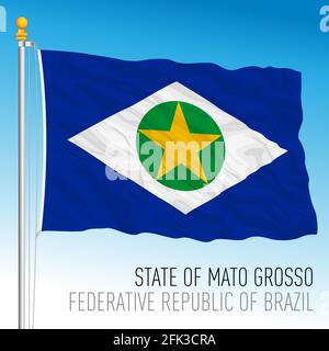 Staat Mato Grosso, offizielle Regionalflagge, Brasilien, Vektorgrafik Stock Vektor