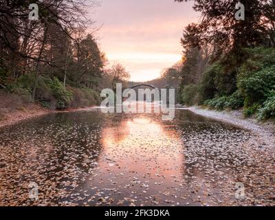 Winternacht mit Rakotzbrücke über See, Azalea und Rhododendron Park Kromlau. Tolles Hotel in Deutschland. Rakotzbrucke auch bekannt als Devils Bridge. Stockfoto