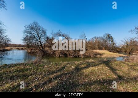 Schlängelnde Fluss mit Bäumen um und klaren Himmel während früh Frühlingstag - Fluss Odra in CHKO Poodri bei Petrvaldik Siedlung in der Tschechischen republik Stockfoto